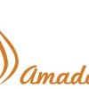 image article